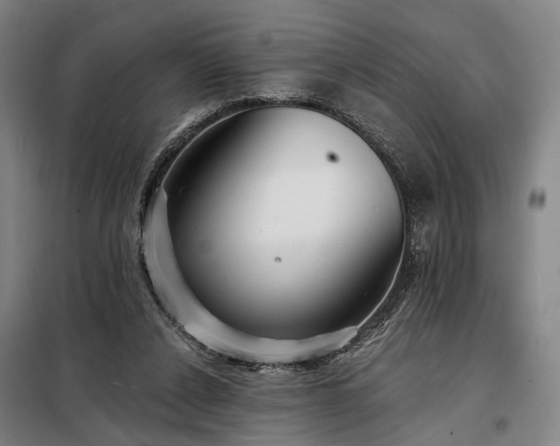 X0000098210256200805011217