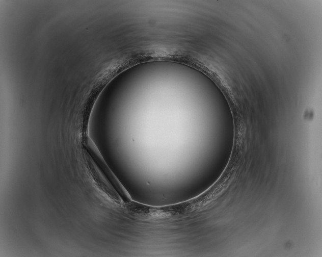 X0000098210257200805011217
