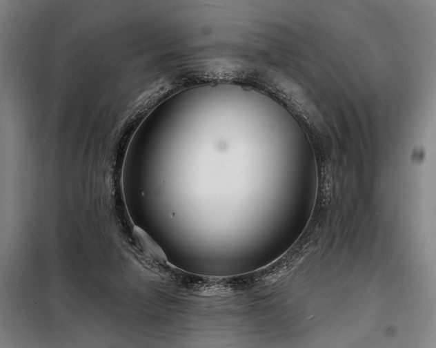 X0000098210258200805011217