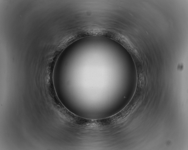 X0000098210259200805011217