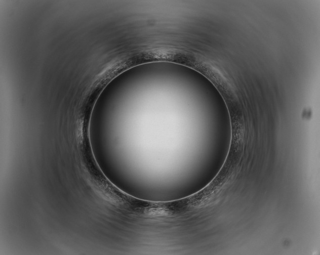 X0000098210262200805011217