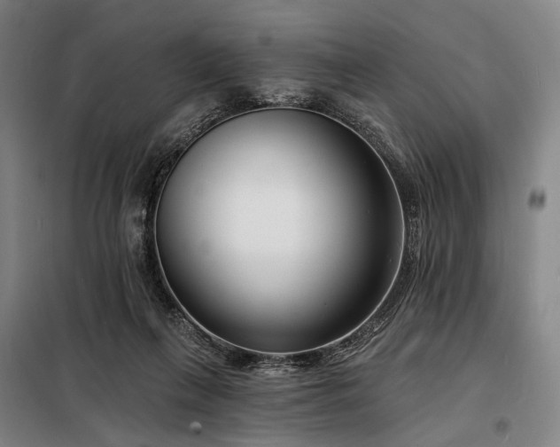 X0000098210263200805011217