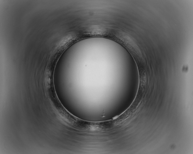 X0000098210264200805011217