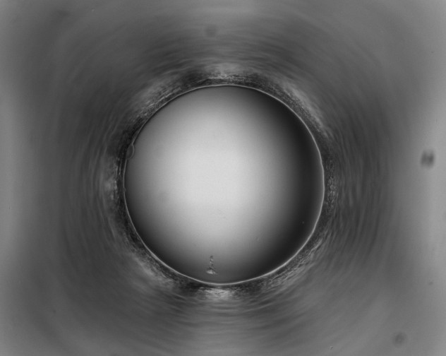 X0000098210265200805011217