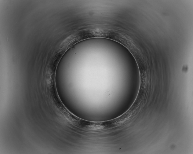 X0000098210266200805011217