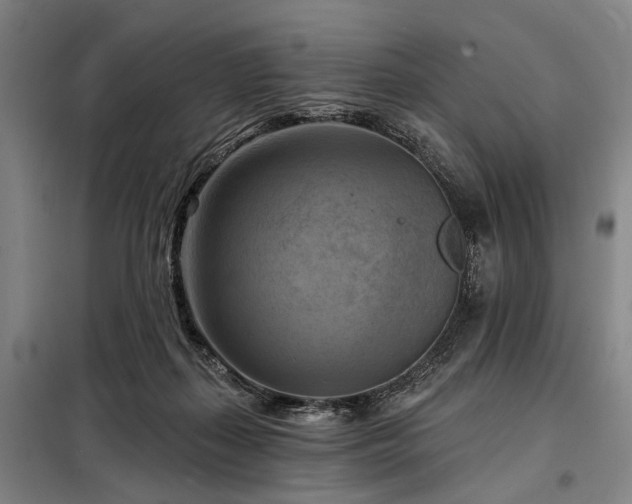 X0000098210267200805011217