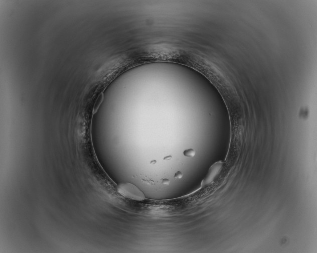 X0000098210268200805011217