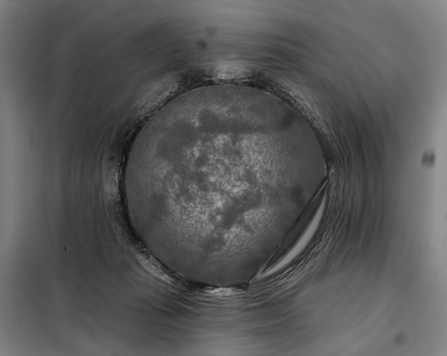 X0000098210269200805011217