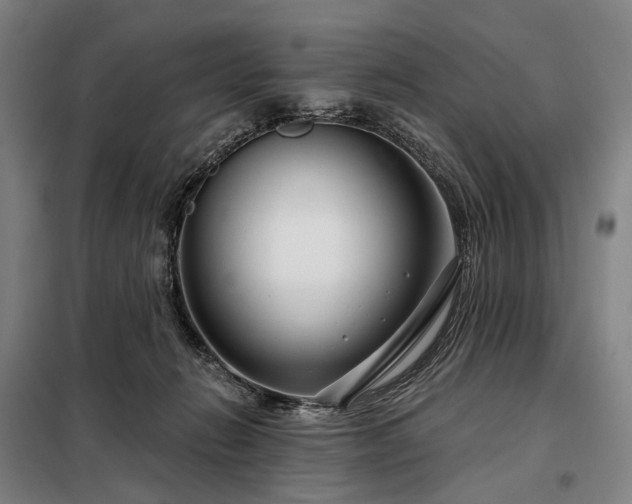 X0000098210270200805011218
