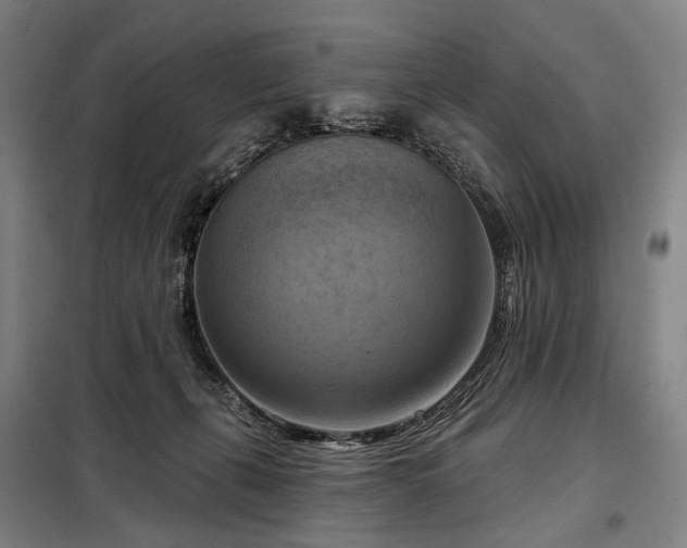 X0000098210271200805011218