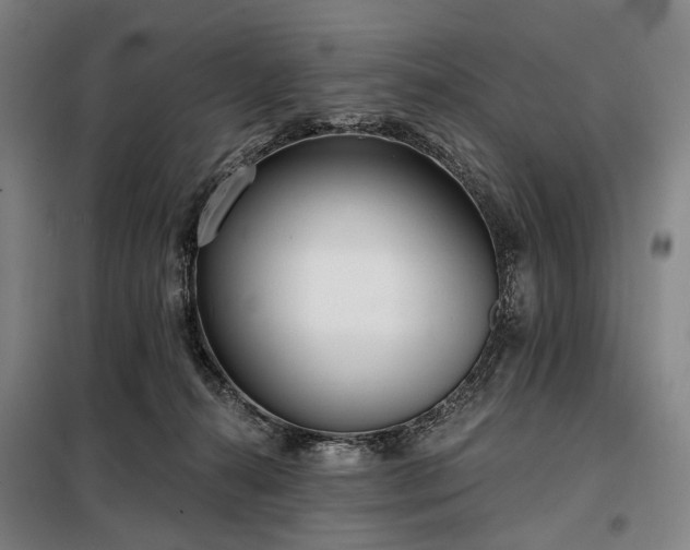 X0000098210272200805011218