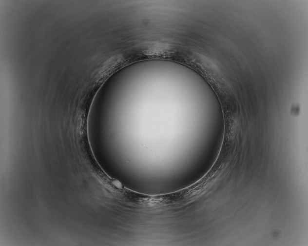 X0000098210273200805011218