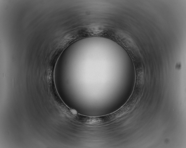 X0000098210274200805011218