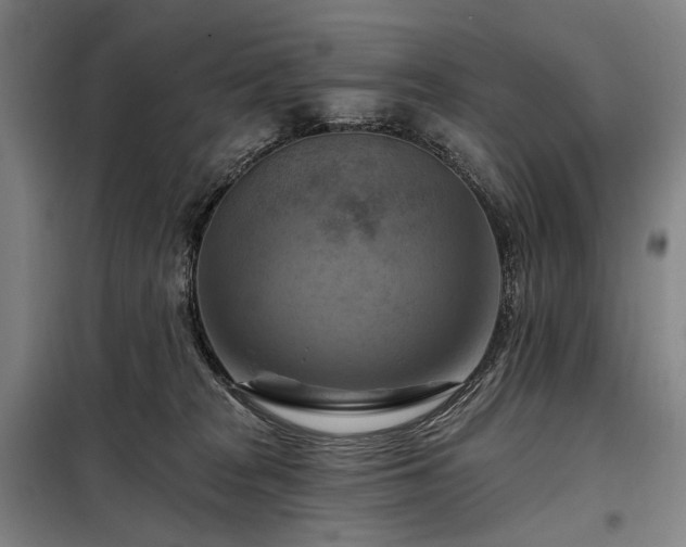 X0000098210277200805011218