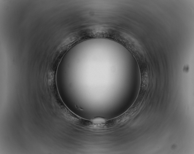 X0000098210278200805011218