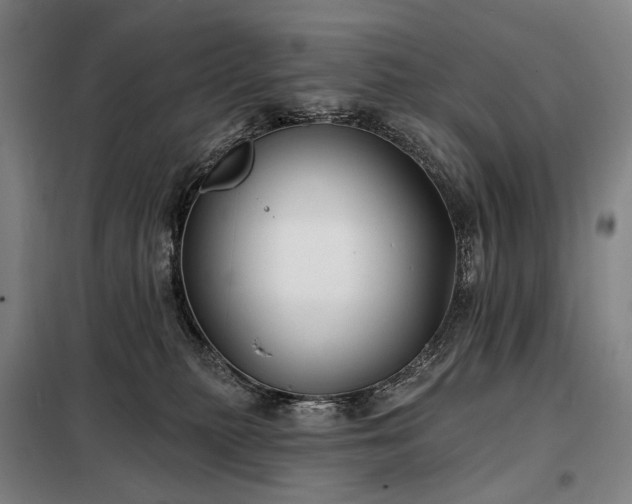 X0000098210279200805011218