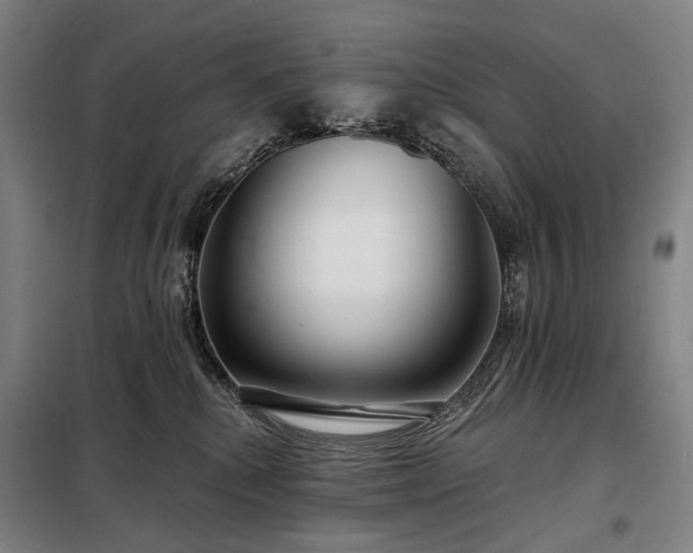 X0000098210280200805011218