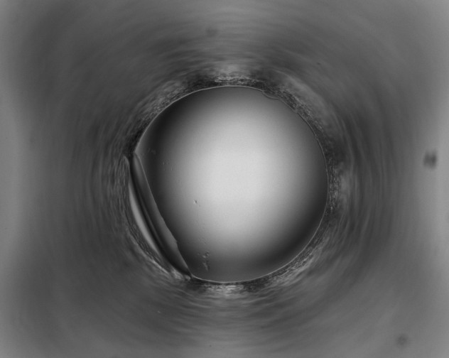 X0000098210281200805011218