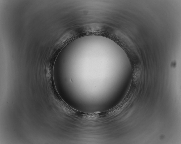 X0000098210282200805011218