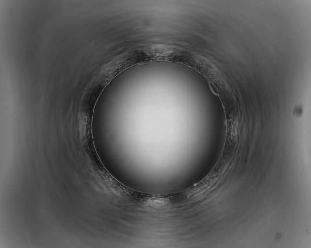 X0000098210283200805011218