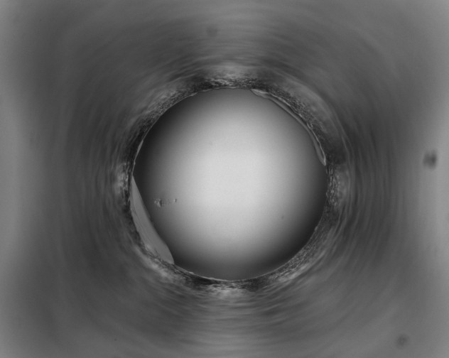 X0000098210284200805011218