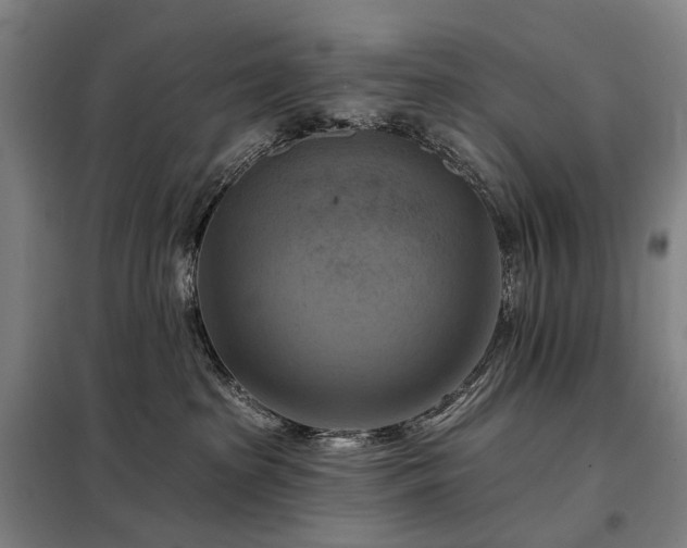 X0000098210285200805011218