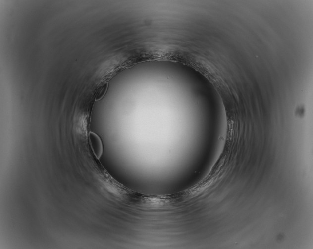 X0000098210286200805011218