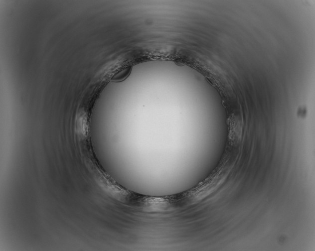 X0000098210287200805011218