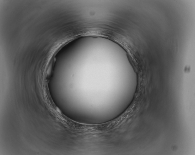 X0000098210289200805011217