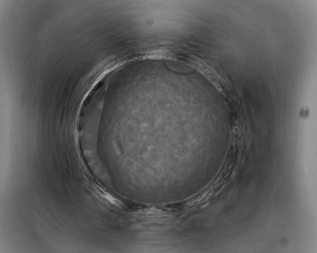 X0000098210290200805011217