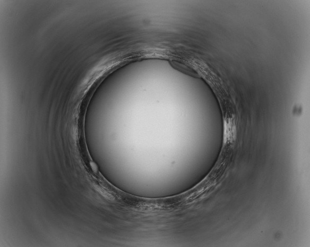 X0000098210291200805011217