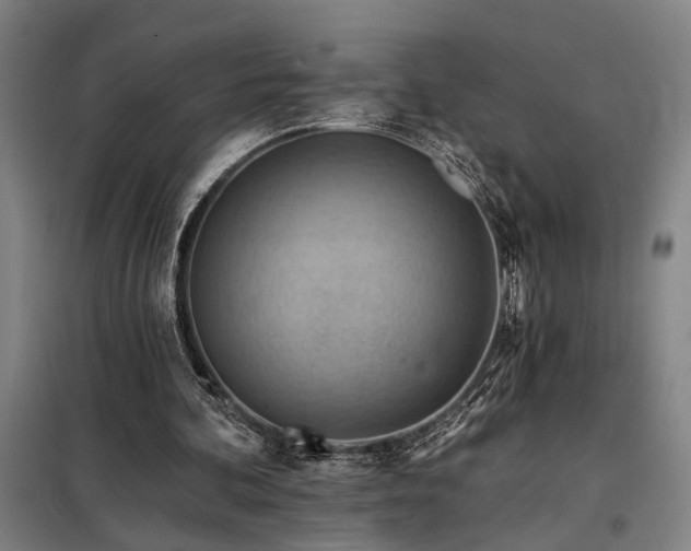 X0000098210292200805011217