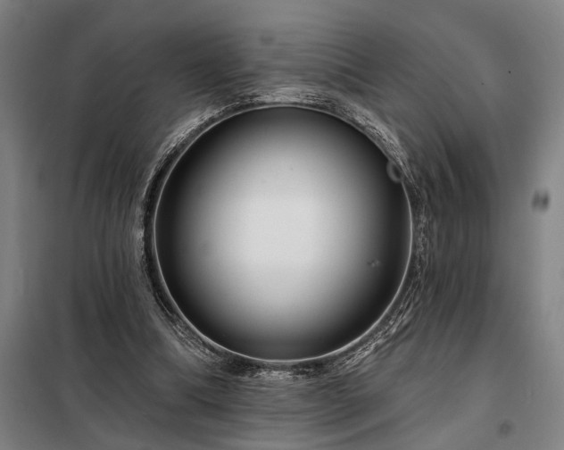 X0000098210298200805011217