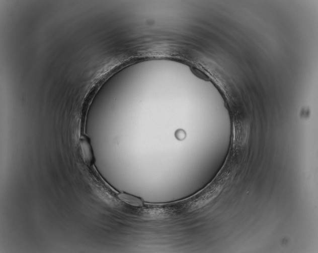X0000098210301200805011217