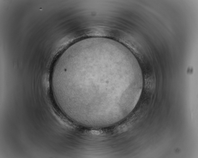 X0000098210302200805011217