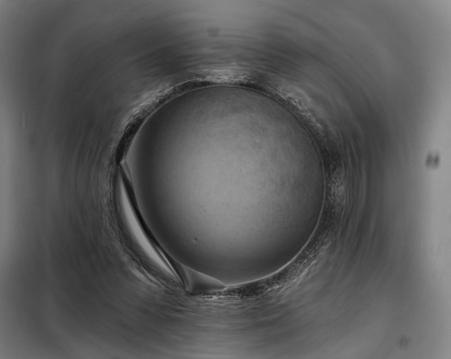 X0000098210303200805011217