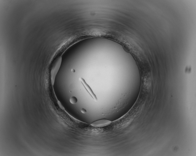 X0000098210304200805011217