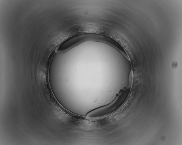 X0000098210305200805011217