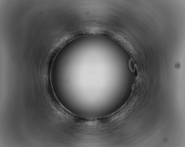 X0000098210306200805011217