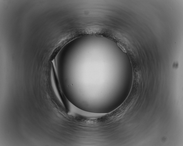 X0000098210308200805011217