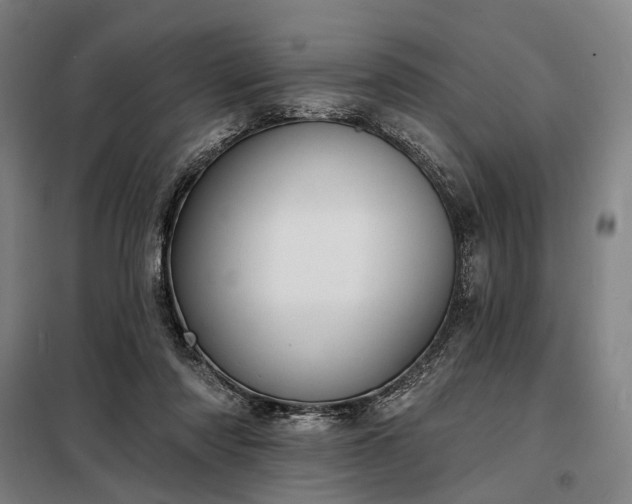 X0000098210310200805011217