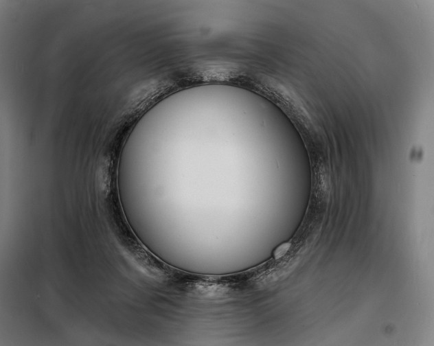 X0000098210311200805011217