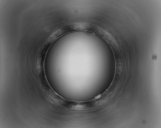 X0000098210312200805011217