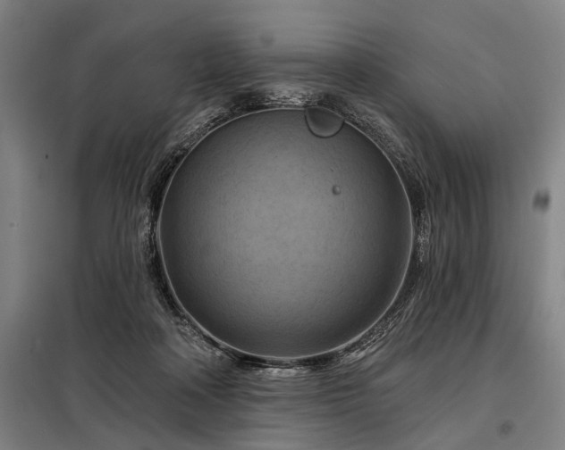 X0000098210314200805011217