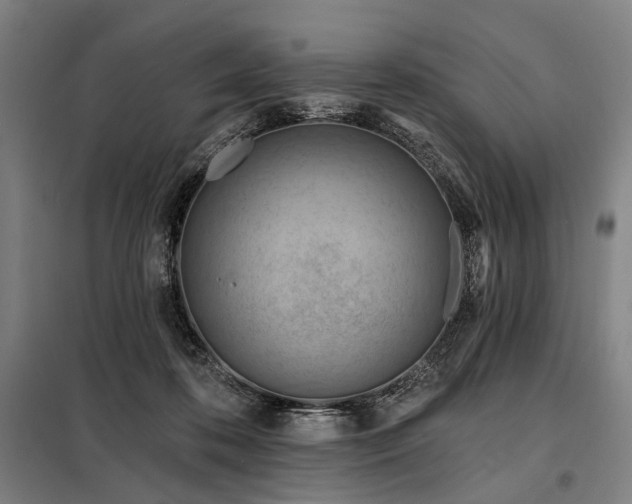 X0000098210316200805011217