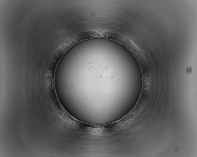 X0000098210318200805011217
