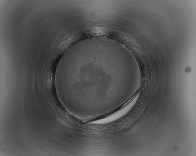 X0000098210320200805011217