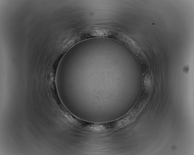 X0000098210322200805011217