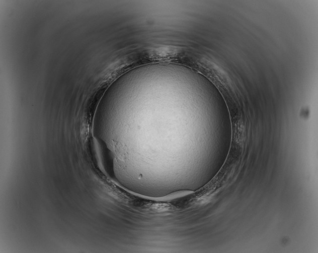 X0000098210324200805011217