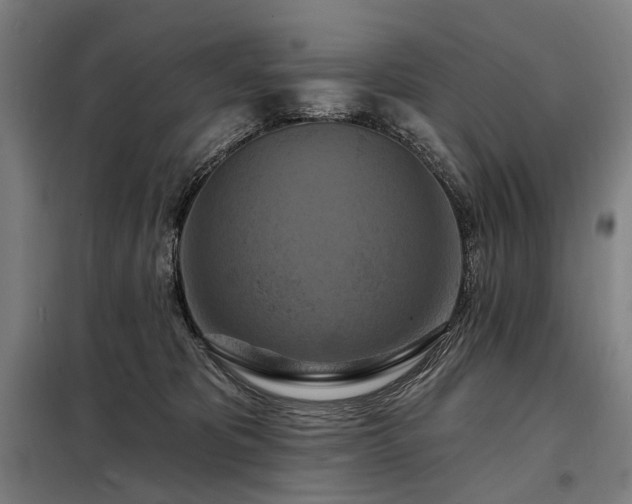 X0000098210325200805011217